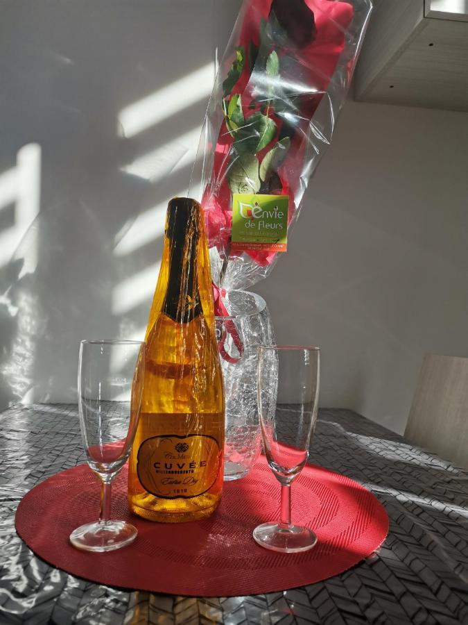 Apartament Coquet 2 Pieces Entierement Renove Et Climatise Cannes Zewnętrze zdjęcie